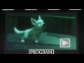 Filmy ke shlédnutí zdarma - Bolt - pes pro každý případ